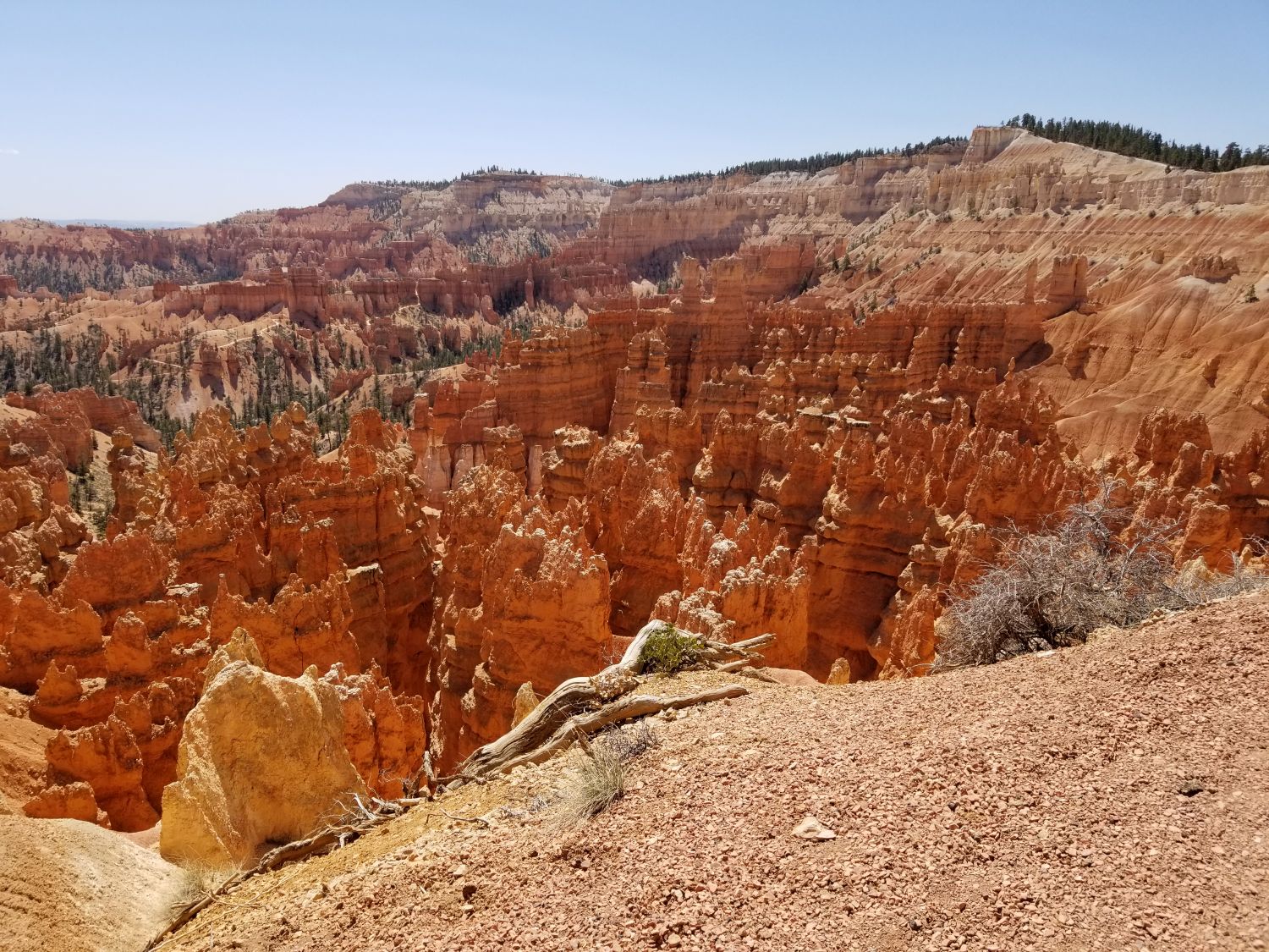 Sunset Point to Sunrise Point 